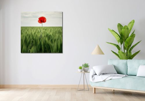 Obraz 90x90cm Samotny Mak na Polu na Arena.pl