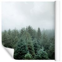 Fototapeta Drzewa we Mgle NATURA do Sypialni 90x60