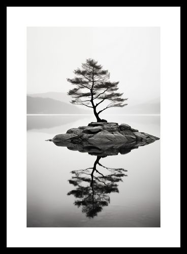 Plakat 20x30cm Samotne Drzewo na Arena.pl