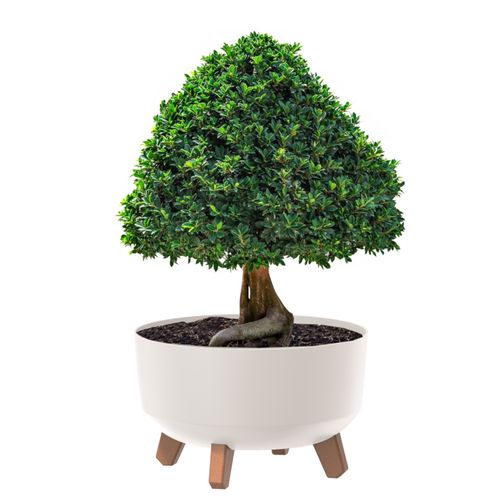 Donica okrągła matowa misa biała 23,5 cm wysokość 15,5 cm na Arena.pl