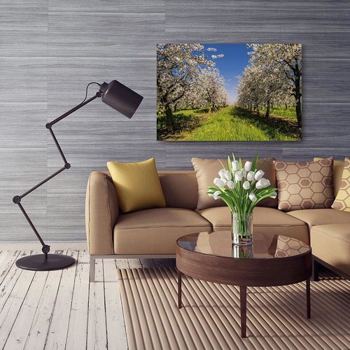 Obraz na płótnie - Canvas, Kwitnący sad 50x70 na Arena.pl
