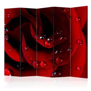 Parawan 5-częściowy - Czerwona róża i krople rosy II [Room Dividers]