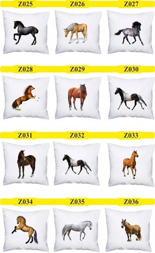 Foto PODUSZKA Prezent rocznica ślubu 10,20,30,40 na Arena.pl