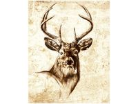 40X50CM GŁOWA JELENIA OBRAZ