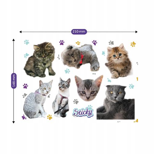 Naklejki na rower bidon kask KOTY na Arena.pl