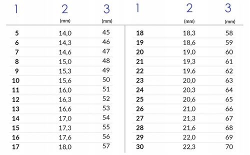 Pierścionek Srebrny 925 Regulowany Pies Jamnik Czarne Złoto Srebro 925 na Arena.pl