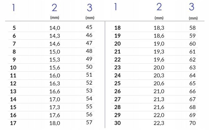 Pierścionek Srebrny 925 Regulowany Pies Jamnik Czarne Złoto Srebro 925 zdjęcie 4