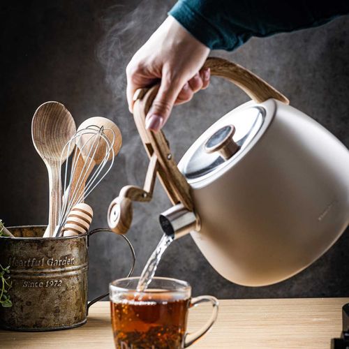 czajnik stalowy z gwizdkiem 2,5l klausberg kb-7775 na Arena.pl