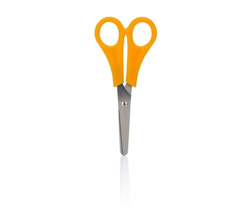 NOŻYCZKI SZKOLNE Z PODZIAŁKĄ ASTRA na Arena.pl