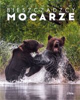 ALBUM BIESZCZADZCY MOCARZE - WALKA NIEDŹWIEDZI MATEUSZ MATYSIAK