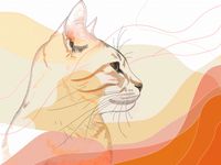 Plakat 40x30cm Delikatny Profil Kota