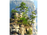 40X50CM WIDOK GÓRY OBRAZ