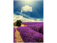 50X70CM LAWENDOWY KRAJOBRAZ OBRAZ PION ŚCIAN