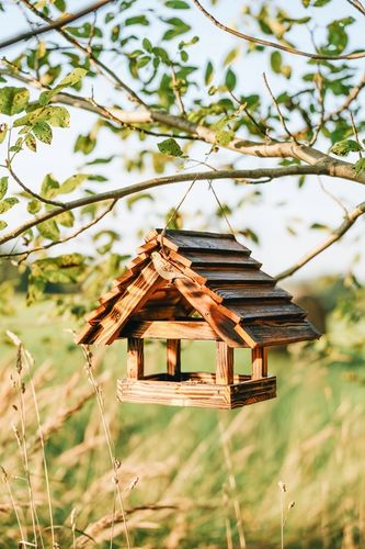 DUŻY Karmnik dla ptaków DREWNIANY XXL Opalany na Arena.pl