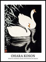 Plakat 60x80cm Design Geese, Koson Vintage do Salonu