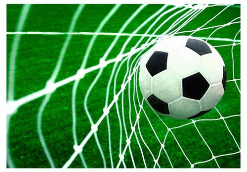 Fototapeta - Goool! - 350X245 na Arena.pl