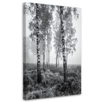 Obraz do salonu sypialni kuchni biura, Las brzozowy mgła czarno