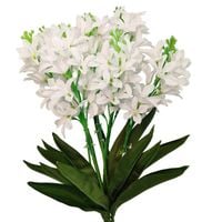 Bukiet hiacynt biały