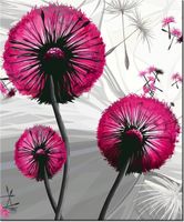 60CM 50CM OBRAZ ŚCIENNY DMUCHAWCE AMARANCIE DRUK PŁÓTNO