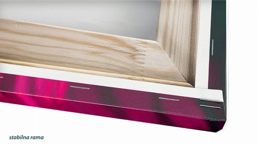 OBRAZ NA PŁÓTNIE PROSTOKĄTNY - Wrotki na Arena.pl