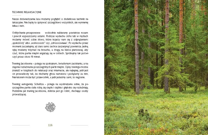 Lasoterapia zdjęcie 2