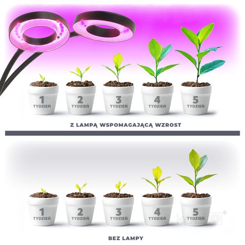 lampa do roślin led vitaro ring 2 clip 8w kobi na Arena.pl