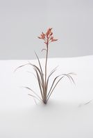 product-compare-59356755