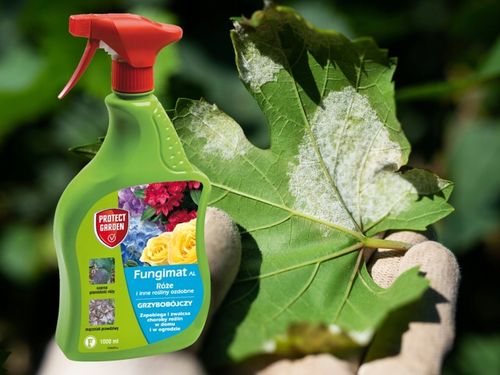 FUNGIMAT AL ŚRODEK GRZYBOBÓJCZY DO RÓŻ I ROŚLIN OZDOBNYCH 1L PROTECT GARDEN na Arena.pl