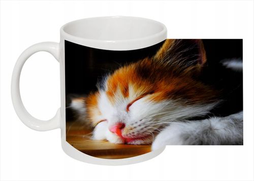 fotoKUBEK koty psy prezent gwiazdkowy dla synka na Arena.pl