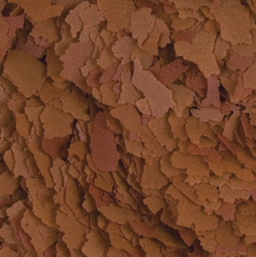 Tropical D-VITAL Plus 600ml na Arena.pl