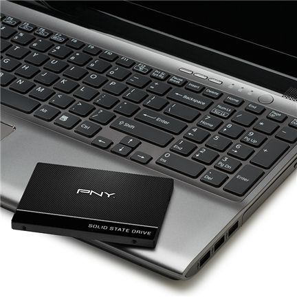Dysk SSD PNY 250GB 2,5" SATA SSD CS900 na Arena.pl