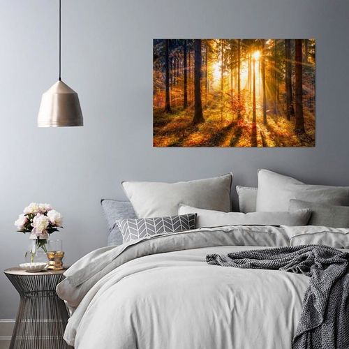 Deco Panel, Las o zachodzie słońca 40x30 na Arena.pl