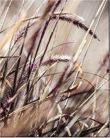 75CM 60CM OBRAZ ŚCIENNY [8] DRUK PŁÓTNO