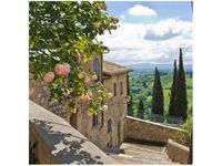 product-compare-58650408