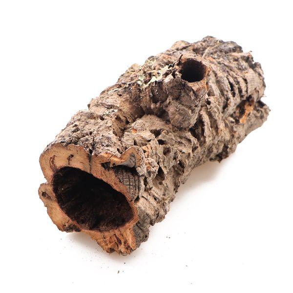 Kora z Dębu Korkowego - na wagę zdjęcie 1