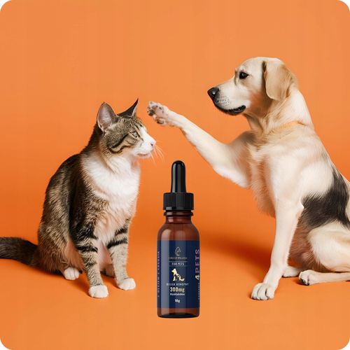 Olejek Konopny CBD 3% | Dla Psa 300mg 11ml | Weterynaryjny | Bez THC na Arena.pl