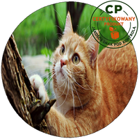 Opłatek na tort Koty