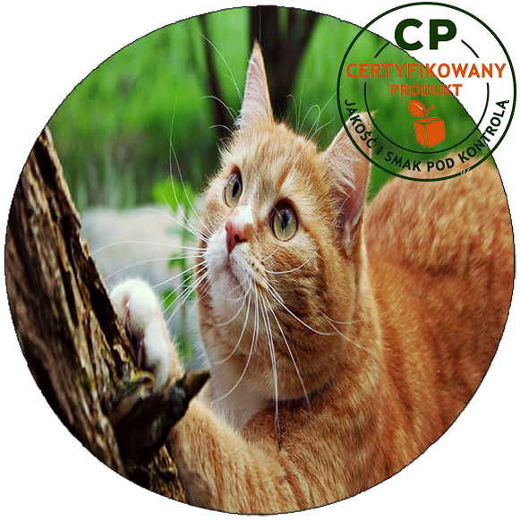 Opłatek na tort Koty zdjęcie 1