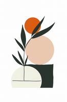 Plakat 53x81cm Kompozycja Natury