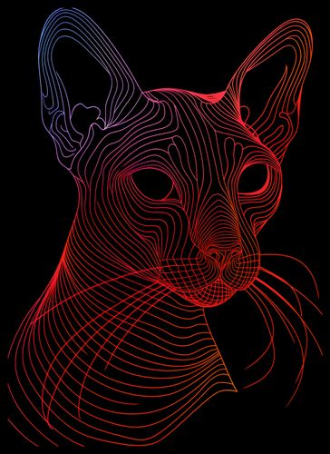 Plakat 39,5x55cm Cyfrowa Kocica na Arena.pl