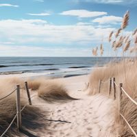 Plakat 80x80cm Nadmorski Most