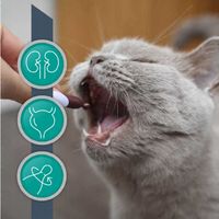 VET EXPERT URINOVET CAT - preparat na układ moczowy dla kotów
