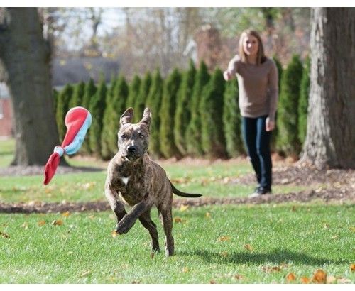 Petstages SlingSock medium PS658 na Arena.pl