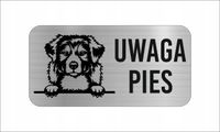 GRAWER Tabliczka laminat 20x10 cm UWAGA PIES Owczarek australijski