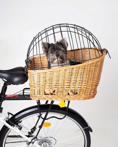 KOSZ ROWEROWY WIKLINOWY NA BAGAŻNIK TRANSPORTER TYLNY KOSZYK DUŻY PODUSZKA na Arena.pl