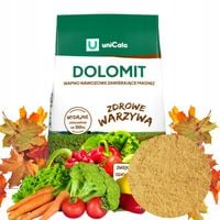 Wapno Ogrodowe Nawozowe Idealne Do Warzyw Owoców JESIEŃ Dolomit Sypki