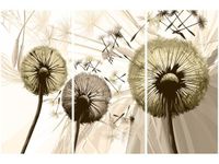 60 90CM OBRAZ 3 ELEM DMUCHAWCE SEPI DRUK PŁÓTNO RAMA