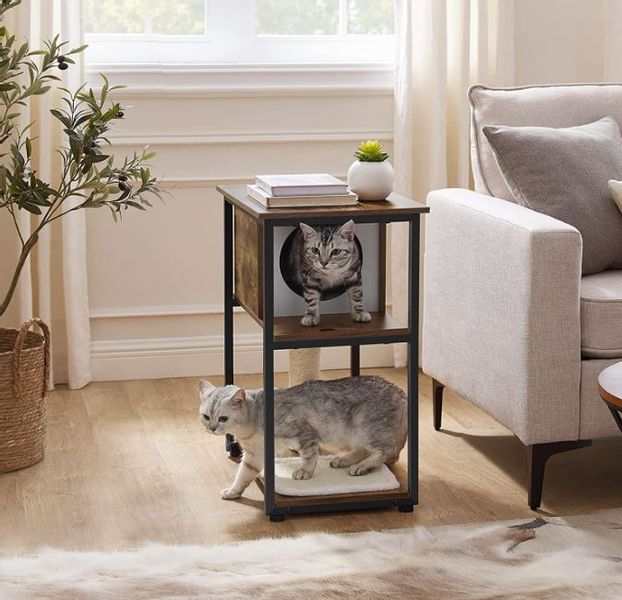 DRAPAK, DOMEK DLA KOTA zdjęcie 2