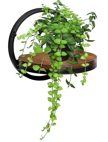 Kwietnik metalowy ścienny czarny Ebro Rustic loft na Arena.pl