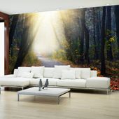 Fototapeta - Droga przez las 200x140